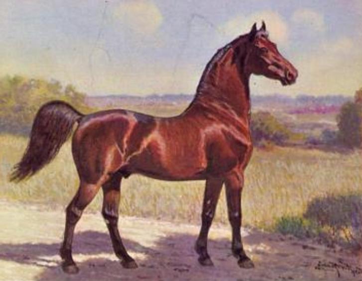 Figure- The Justin Morgan Horse